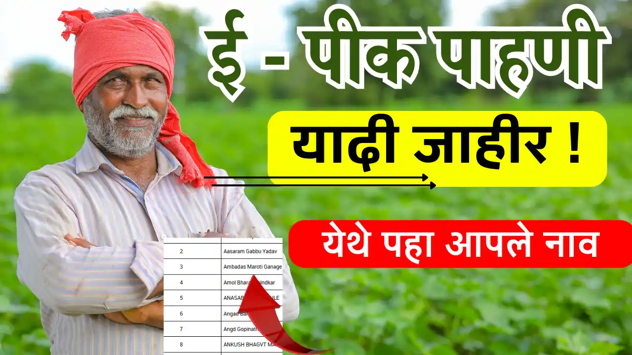 e pik pahani list