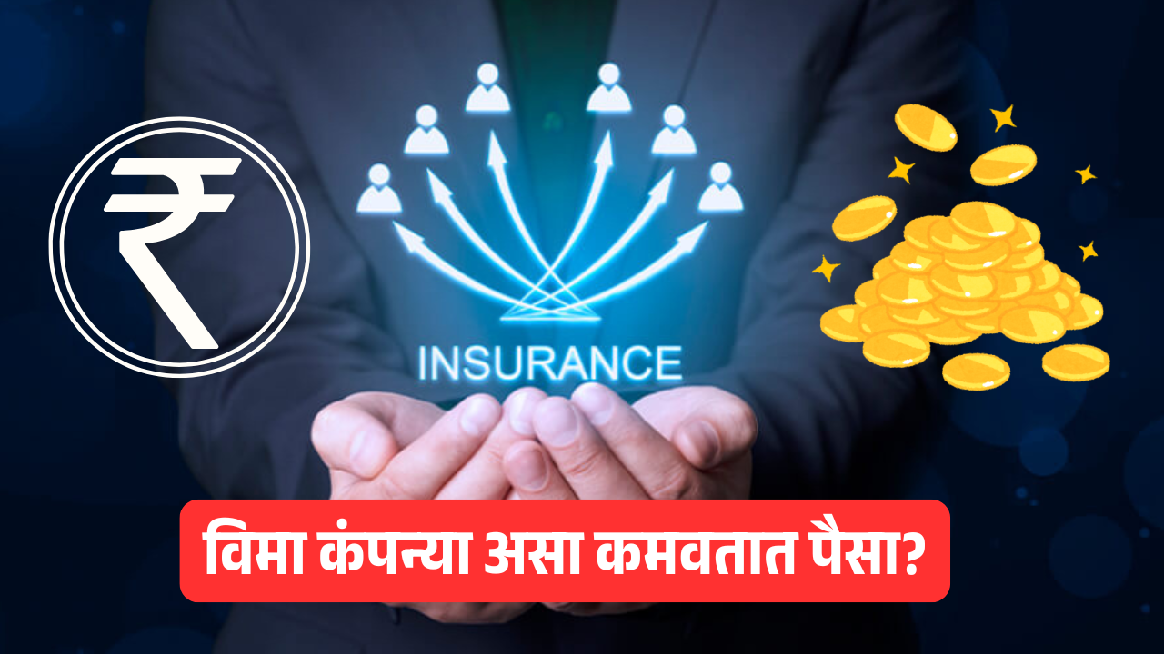 Insurance Companies: